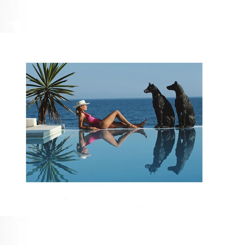 Retro Poolside Host Luxury Lif - огляд і ціна Luxury Lifestyle Us